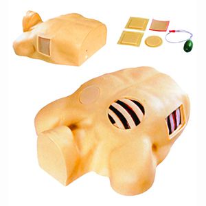 Can the thoracopuncture drainage model be your right-hand man?